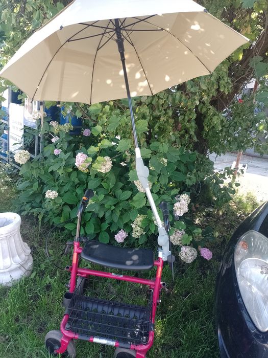 Chodzik dla seniora