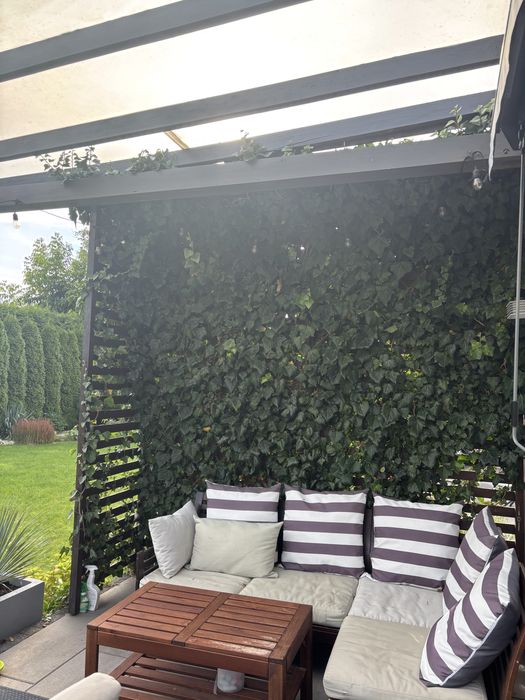 Zadaszenie tarasu drewniane z poliweglanem litym 4.6x4