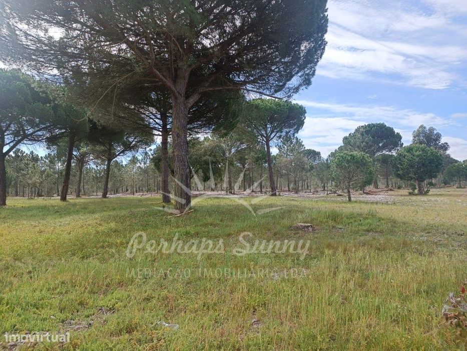 Herdade Bicas - Comporta