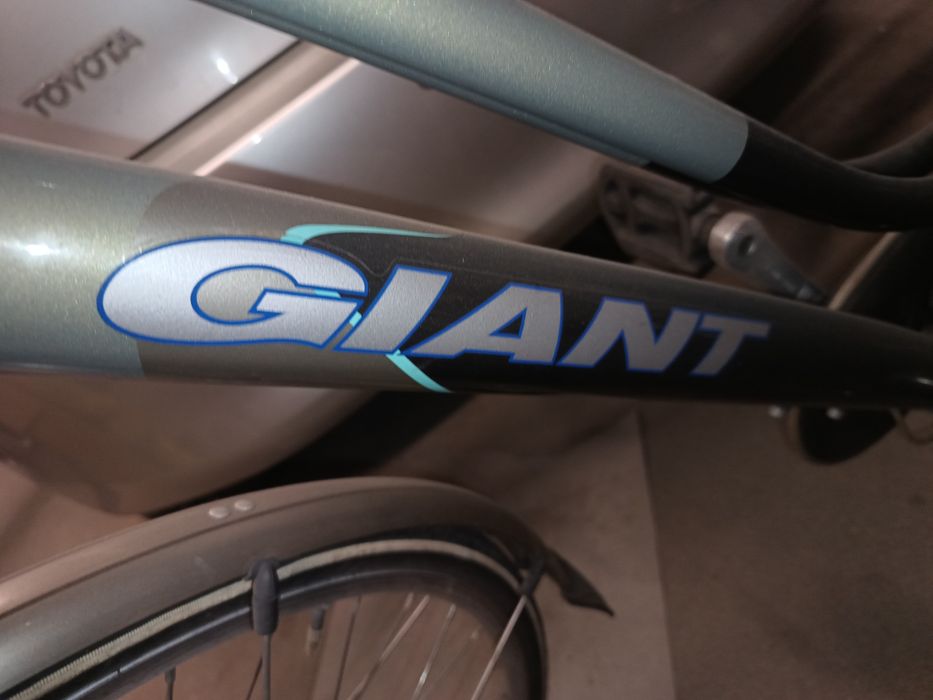 Rower damka Giant