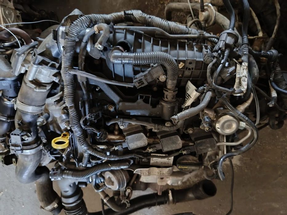 Motor Ford Focus Ecoboost 1.0 125cv REF: M1DD