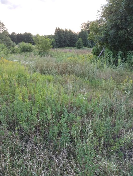 Działka rolna w Grabowcu