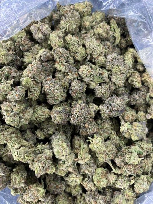 Dry CBD Slush Mints /THC<0.3%