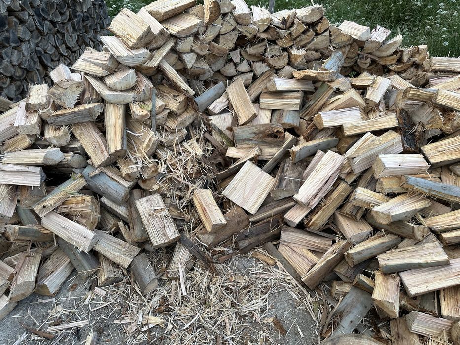 Lenha eucalipto seca