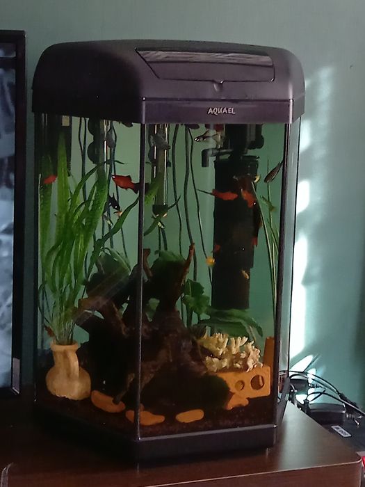 Akwarium Aquel 60L szesciokatne