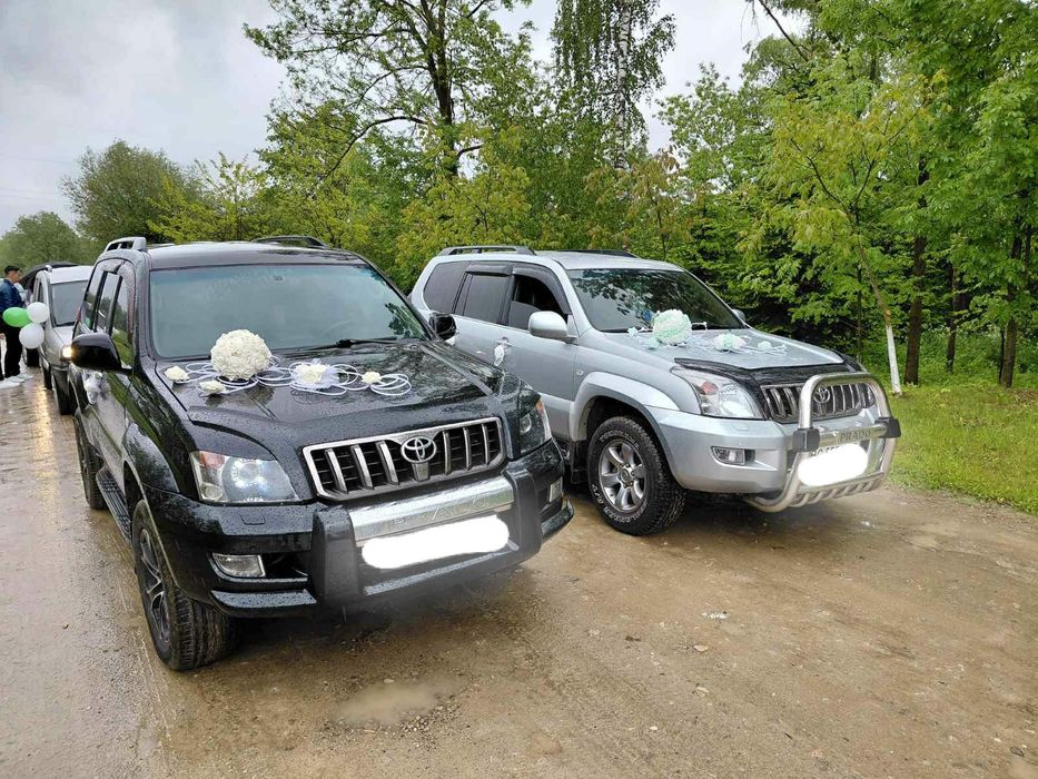 Прокат авто_Tойота Прадо 120_ (весілля)