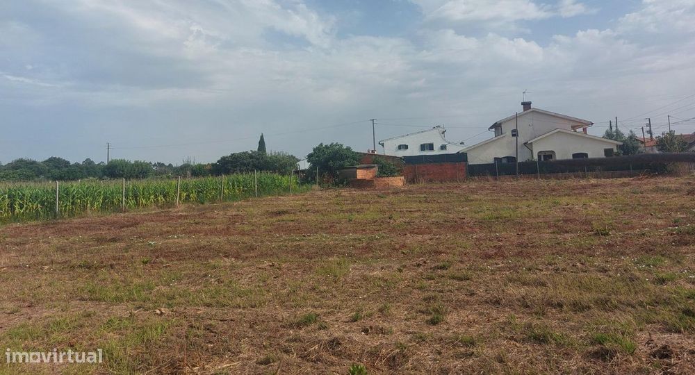 Terreno Rústico com 4.195 m2 em Oiã