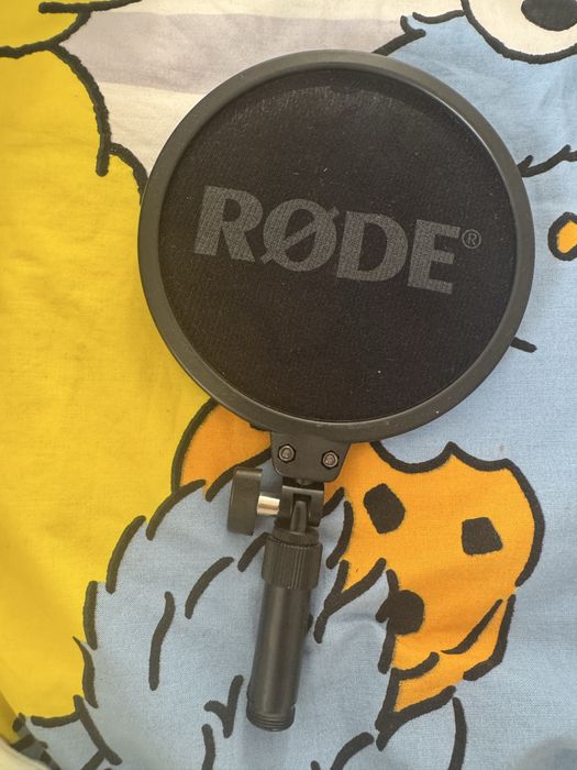 Pack de Estúdio Profissional: RØDE NT1 + Focusrite Scarlett Solo + Escudo Acústico
