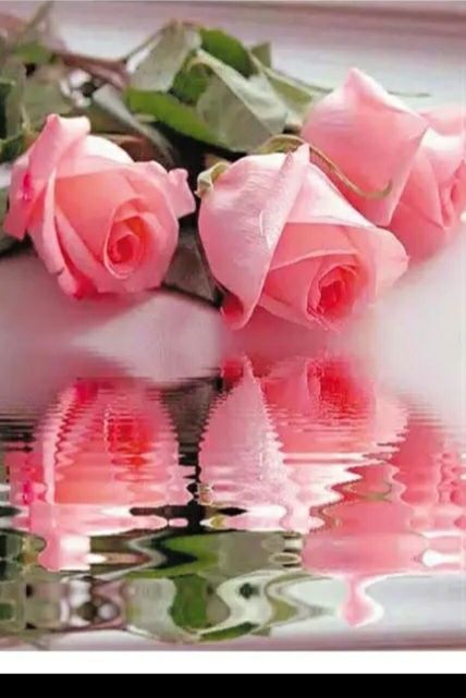 Набор для алмазной картины 30*40