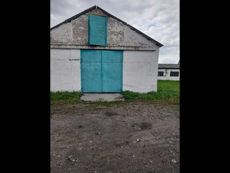 Оренда цеху переробки деревини с. Слюсареве Одеська область