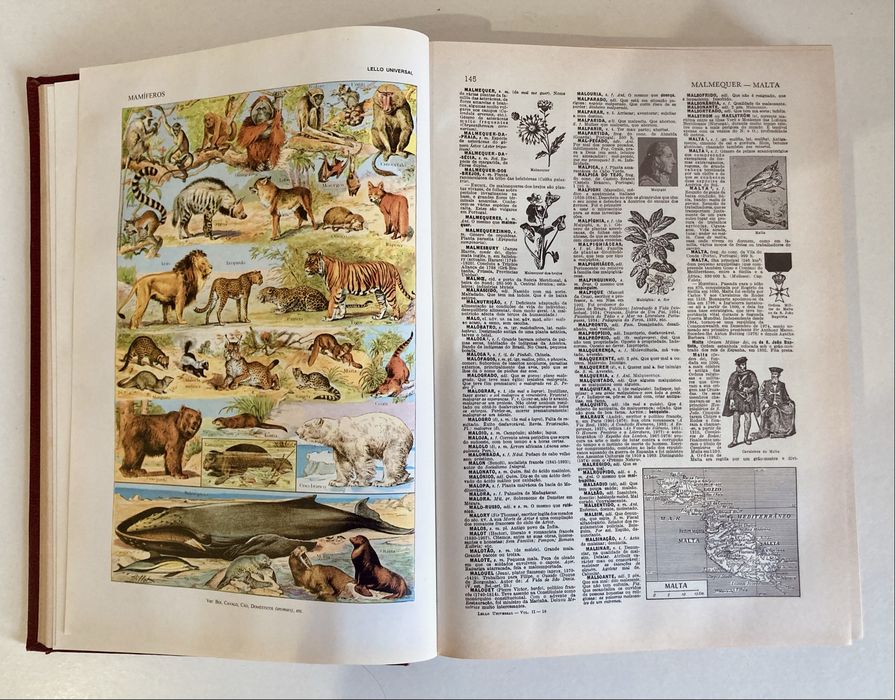 Dicionário Enciclopédico Lello Universal (2 volumes)