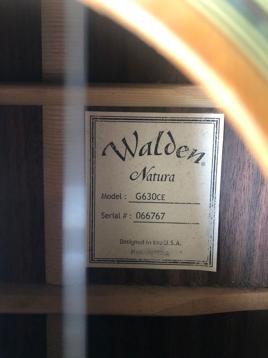 Guitarra Acústica Walden