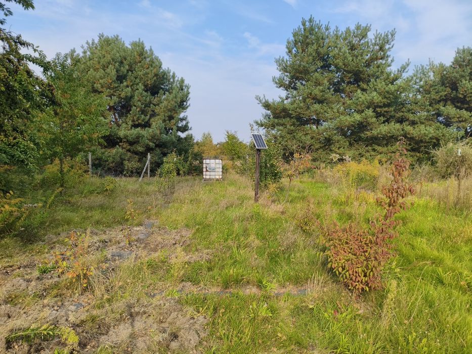 Sprzedam działkę rolną zagospodarowaną RODO na własność! - Widok 3