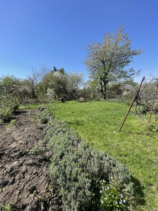 Продаж дачної ділянки поблизу міського озера