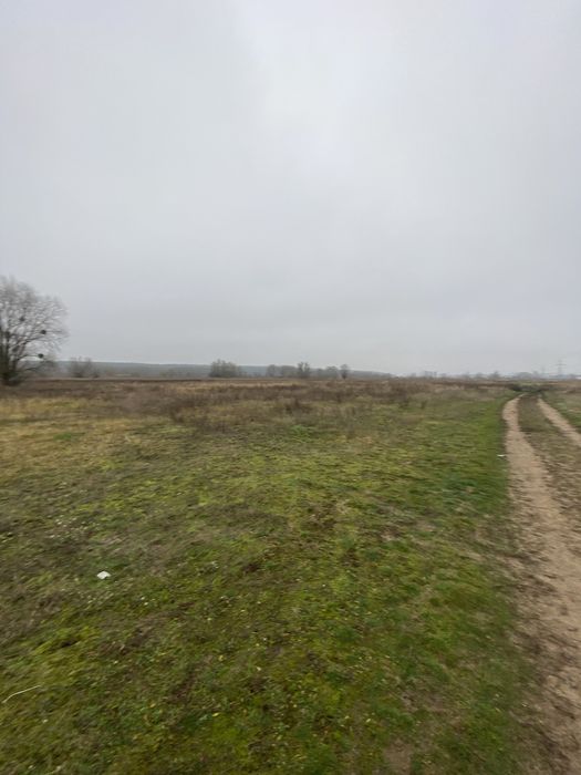 6 соток в Ірпені за кращою ціною! Ділянка під будинок, інвнстицію!