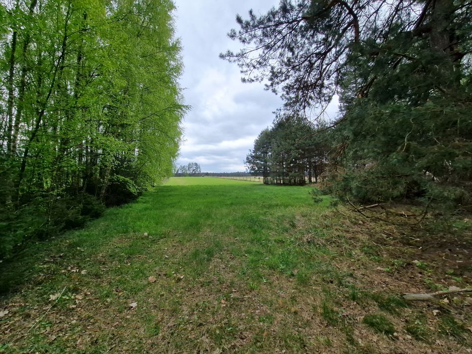 Działka rolno-budowlana 1,39 ha – Zawadki, gm. Susiec – media, las