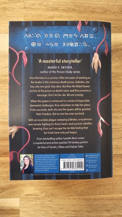 Livro 'The Prision Healer' - Inglês