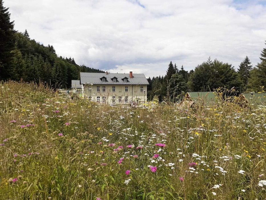 ośrodek wypoczynkowy, noclegi ,kwatery Zieleniec