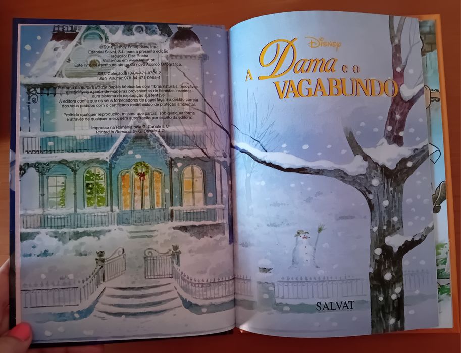 Livro Novo-colecção Disney-A Dama e o vagabundo