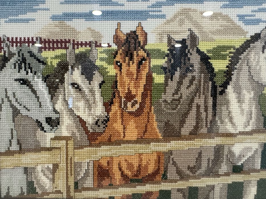 Cavalos na quinta