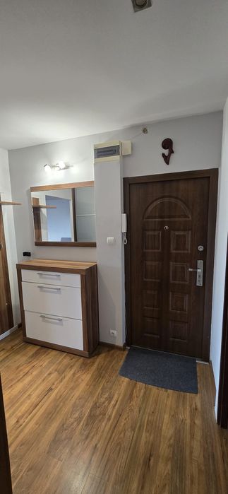 Mieszkanie do wynajęcia od 1 lutego Poznań Rataje 49m2