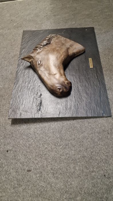Quadro Cabeça de cavalo