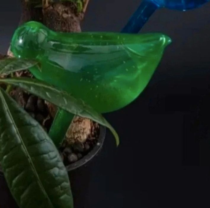 Nawadniacz do roślin doniczkowych uroczy ptaszek