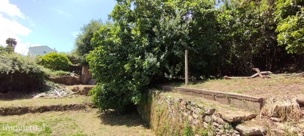 Terreno Urbano em Castelo Viegas
