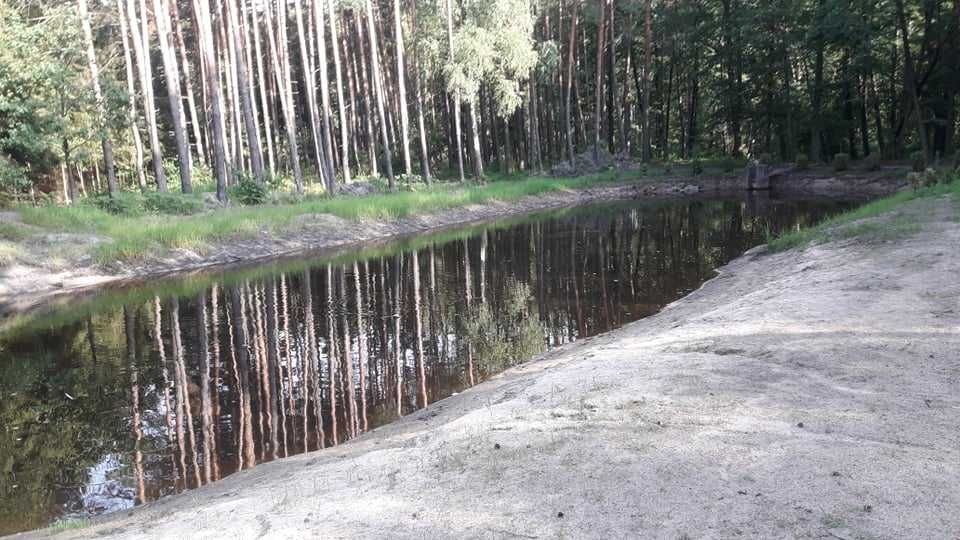 ZACISZE LEŚNE Domek do Wynajęcia