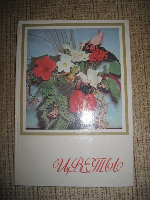 Цветы