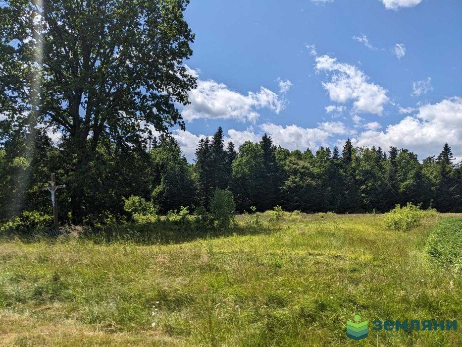 Продаж ділянки із виходом у ліс с. Нова Гута 45.5 сот (8)