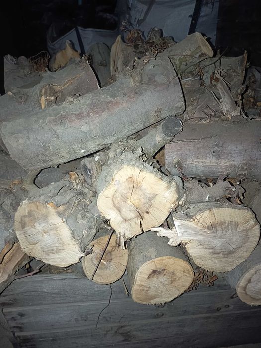 Lenha seca de macieira.