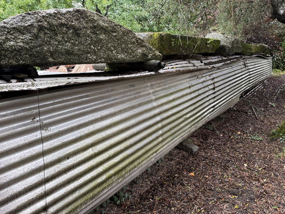 Pranchas de pinho manso (Madeira nacional)