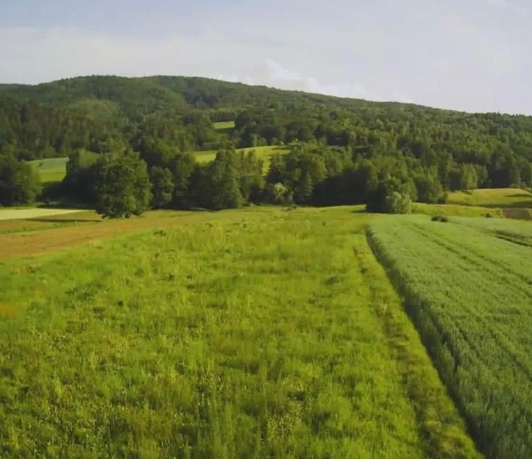 Działki zagrodowe, rolno -leśne, leśne Lipnica Dolna o powierzchni 7,56 ha cena