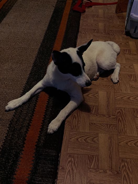 Чудова дівчинка чекає на свою родину