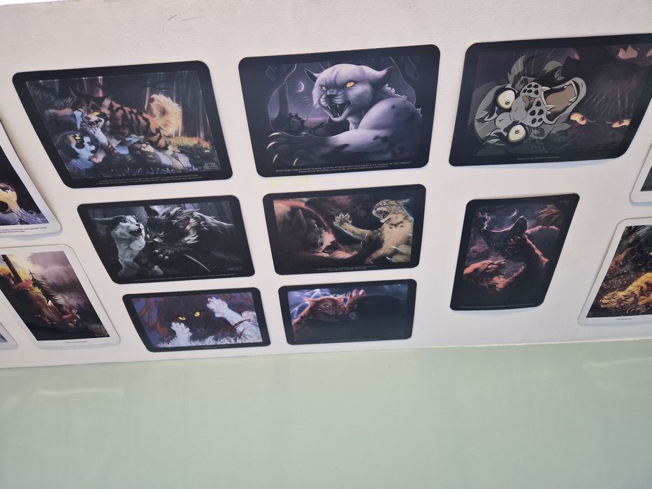 Sprzedam dodatki wojownicy Erin hunter