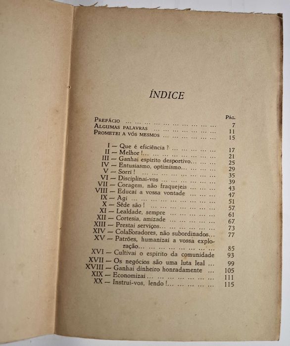Arte de triunfar, A eficiência em 20 lições