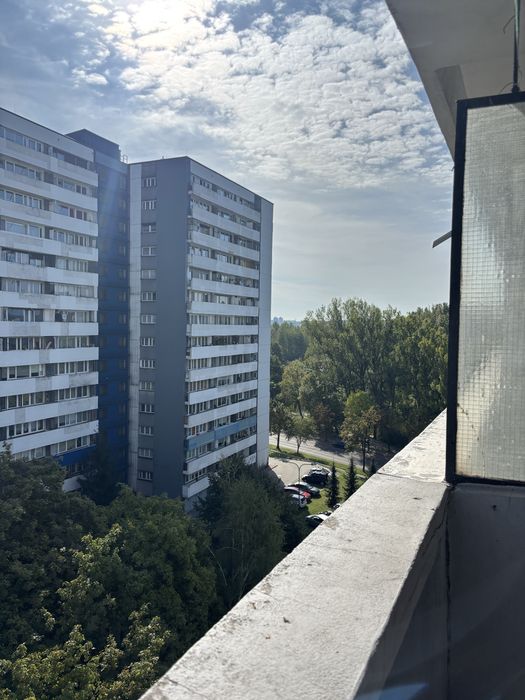 Zdjęcie 8
