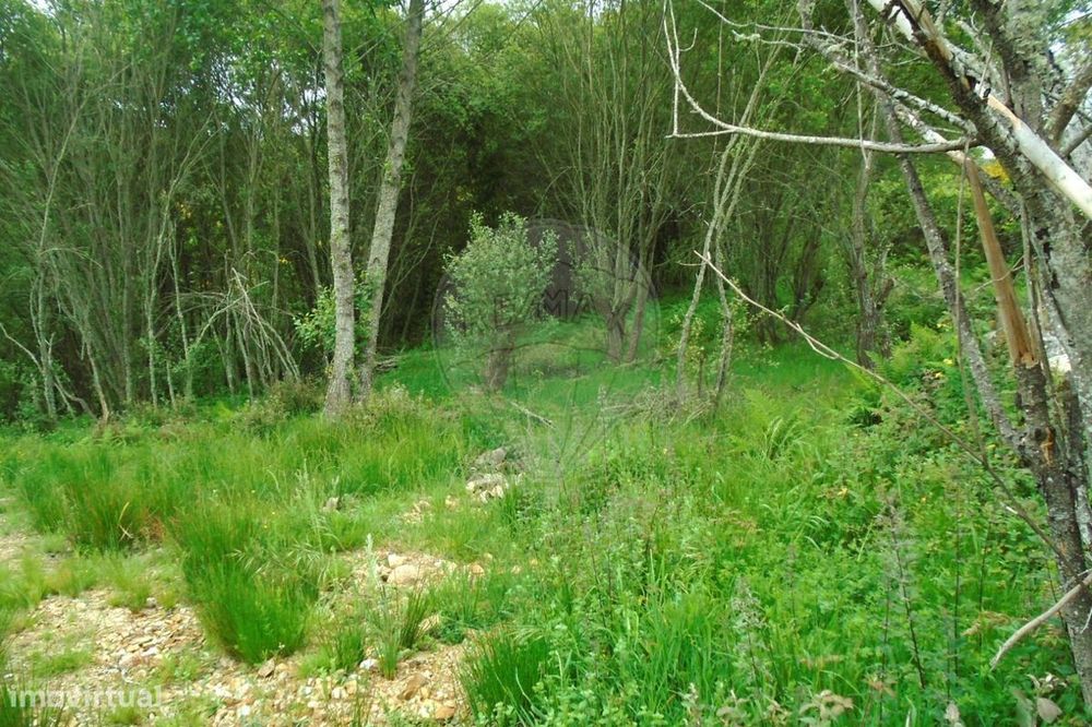 Terreno  para venda