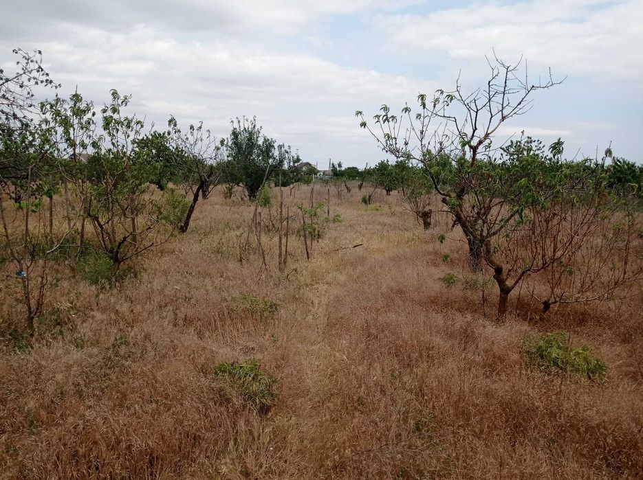 Продаю дом в Троицком Одесский район