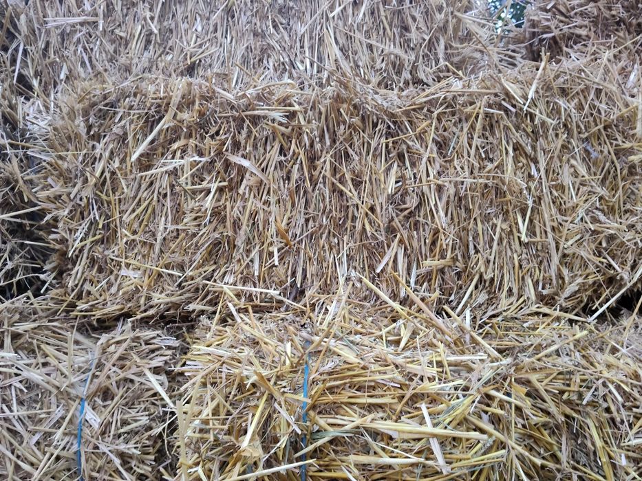 Продам пшеничну овсяні солому