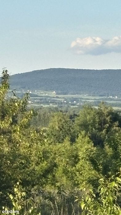Działka budowlana przy lesie – cisza, widok na Łysicę, 10 min od Kielc