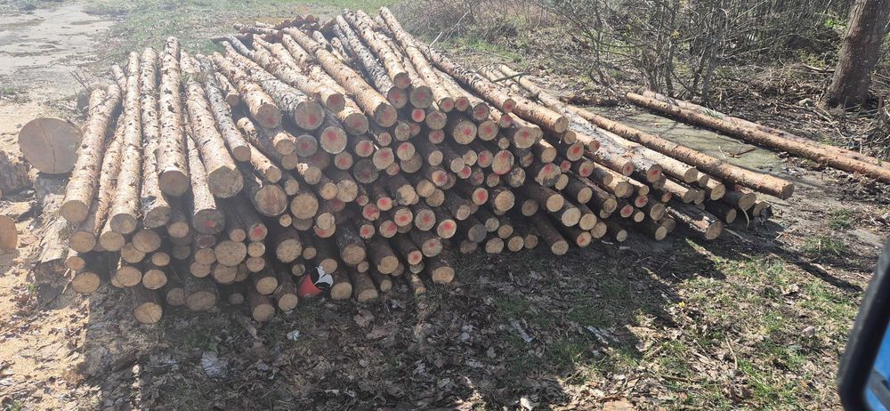 Stemple budowlane ogrodzeniowe słupki nowe 3m