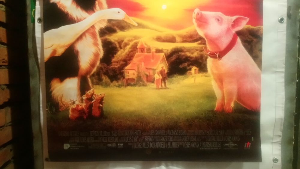 Plakat filmowy orginalny kinowy( BABE )