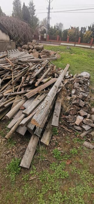 Oddam dużą ilość gałęzi. Sosna brzoza klon