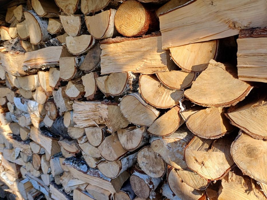 Drewno opałowe - brzoza, sosna 6m^3