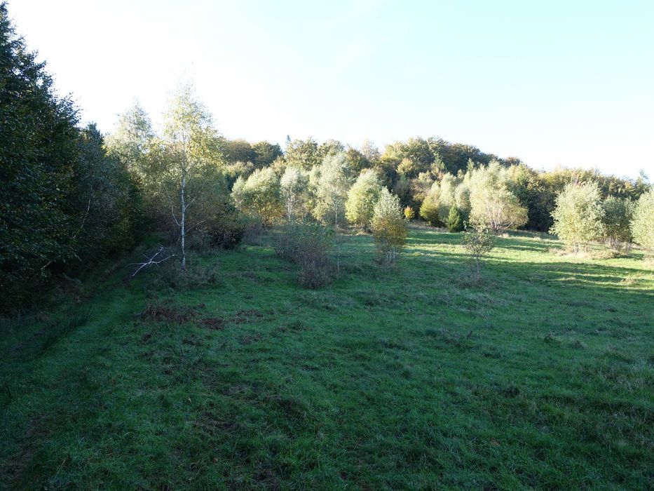 Brenna 2,53 ha inwestycyjna piękna panorama gór pod zabudowe