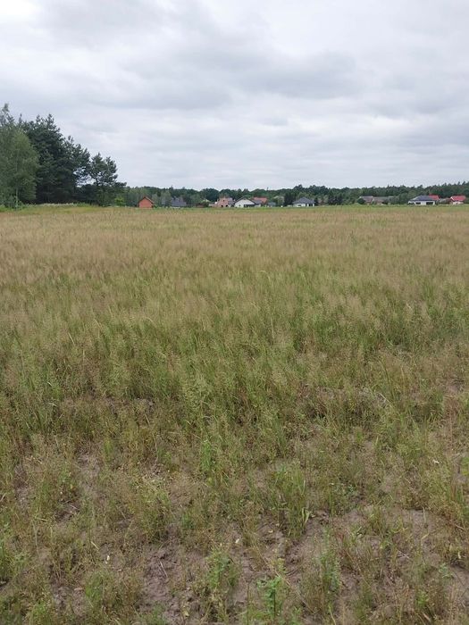 Działka budowlana 0,10ha