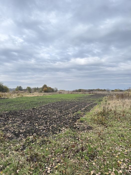 Продаж ділянки в с.Оброшине (під будівництво).
