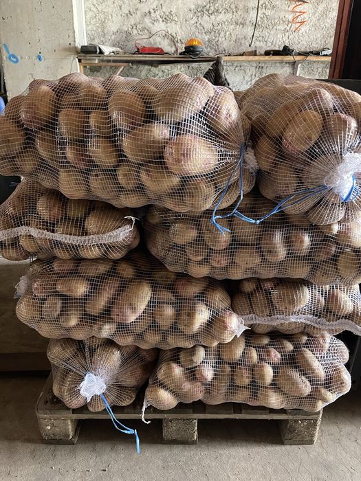 Batata Agrea Nova 0,45€/kg + IVA | Olho de Perdiz Nova 0,39€/kg + IVA | Venda à Palete